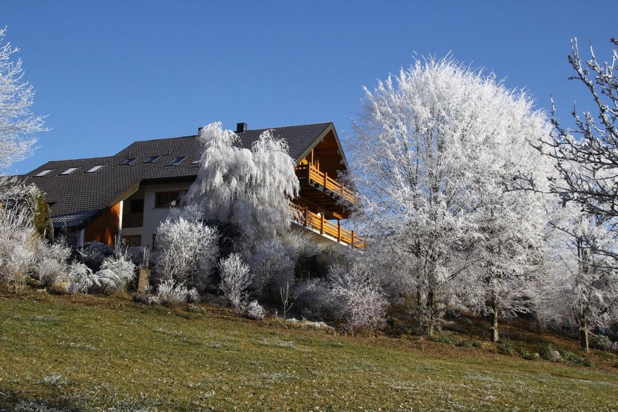 Haus Am See Illmensee ภายนอก รูปภาพ